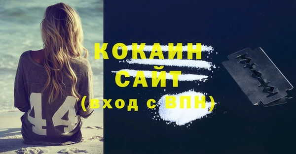 прущий лед Алзамай