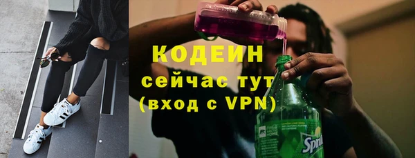 прущий лед Алзамай