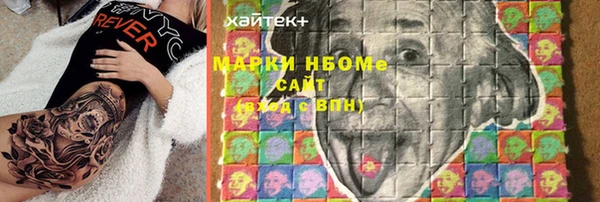 прущий лед Алзамай