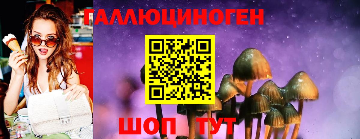 Галлюциногенные грибы Psilocybe Когалым