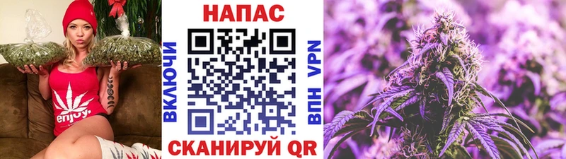 kraken онион  Когалым  Бошки Шишки AK-47  сколько стоит 